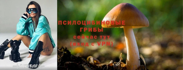гидра Абдулино