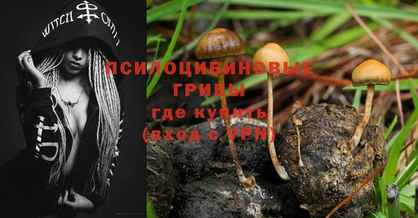 стаф Абаза