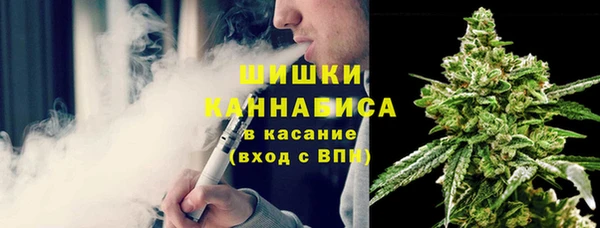 стаф Абаза