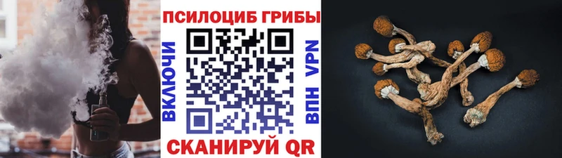 наркота  Горбатов  Галлюциногенные грибы мицелий 